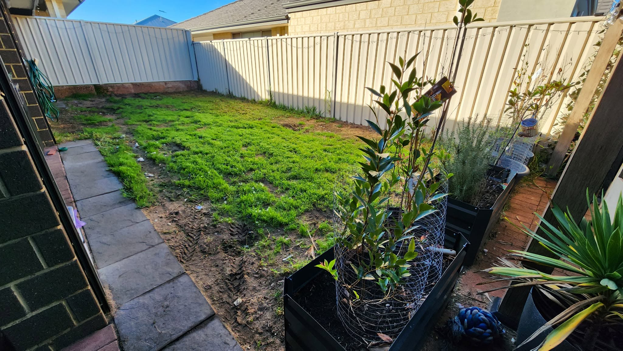 Caversham Backyard — before