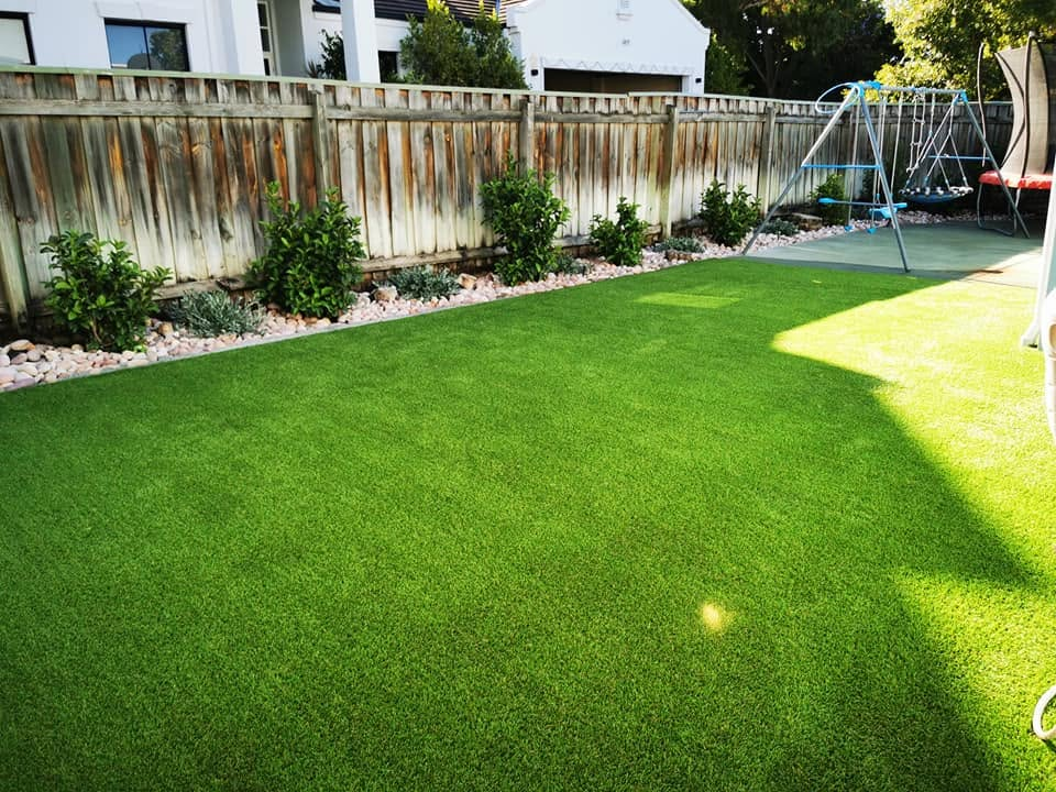 Family backyard
