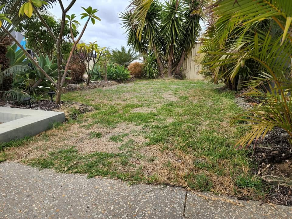 Front-Yard Makeover — before