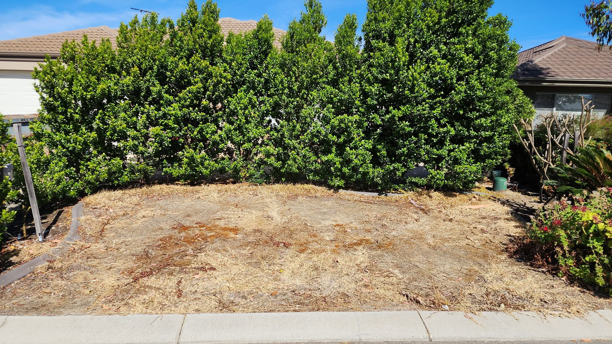Landsdale Front Lawn — before